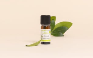 Niaouli Essential Oil Quality Newsletter - Image 3