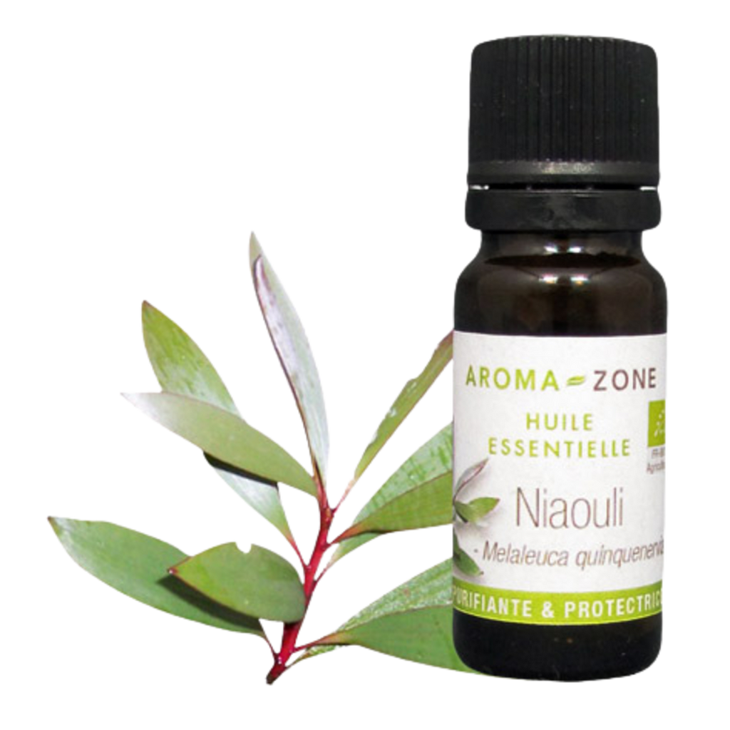 Niaouli Essential Oil Quality Newsletter - Image 2