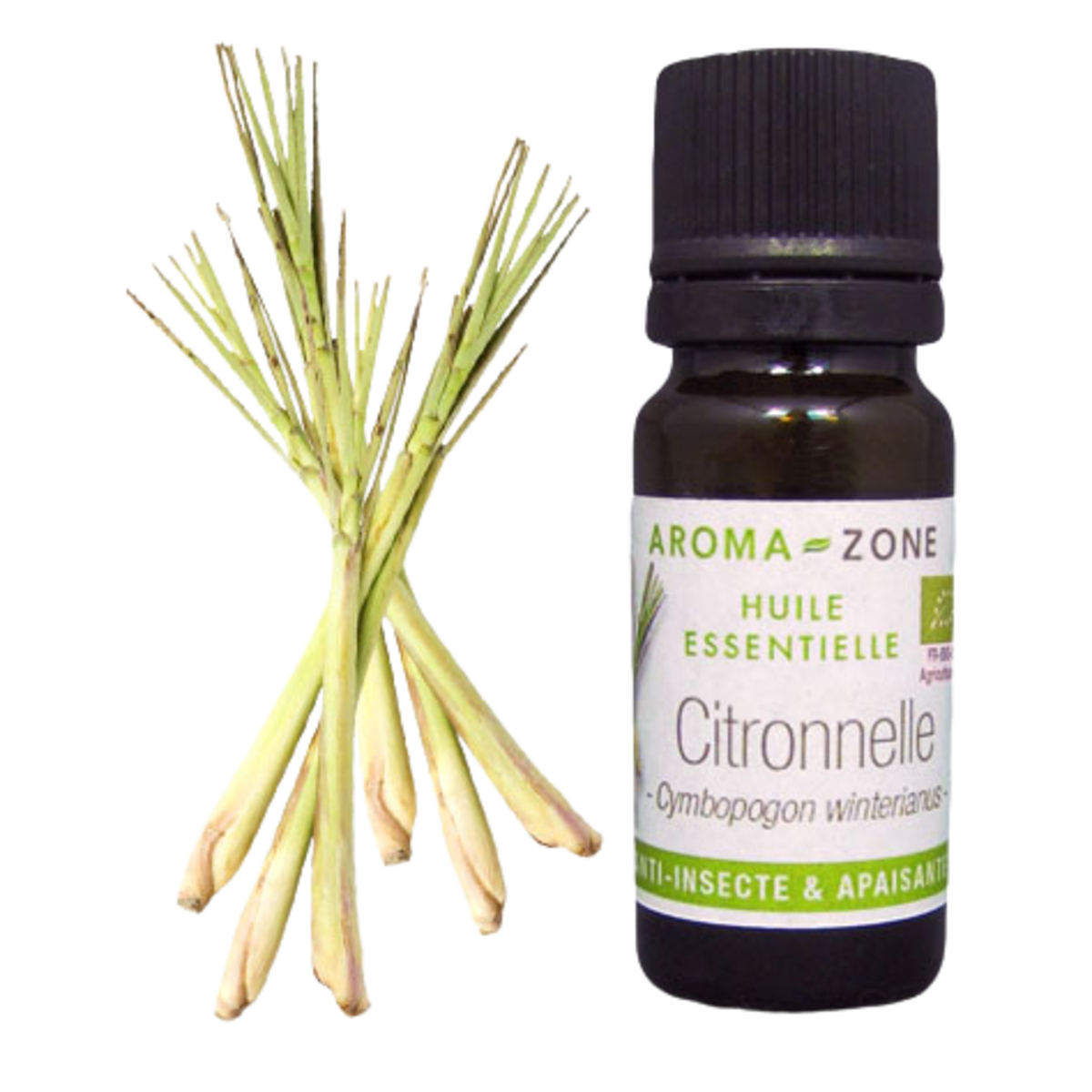 Citronella Essential Oil Quality Newsletter - Image 2