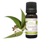 Blue Gum Eucalyptus Essential Oil Quality Newsletter - Image 2