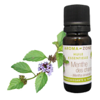 Wild Mint Essential Oil Quality Newsletter - Image 2