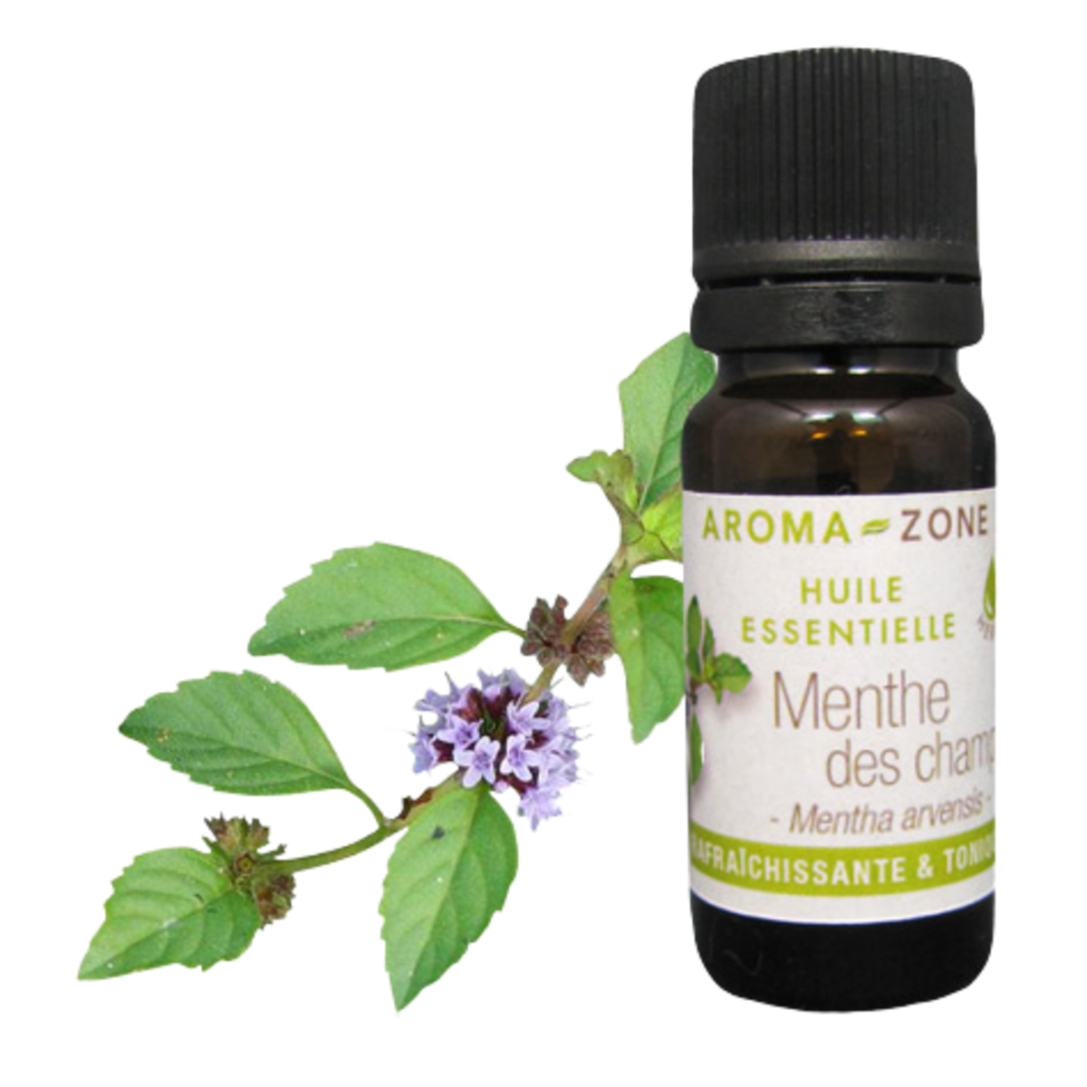 Wild Mint Essential Oil Quality Newsletter