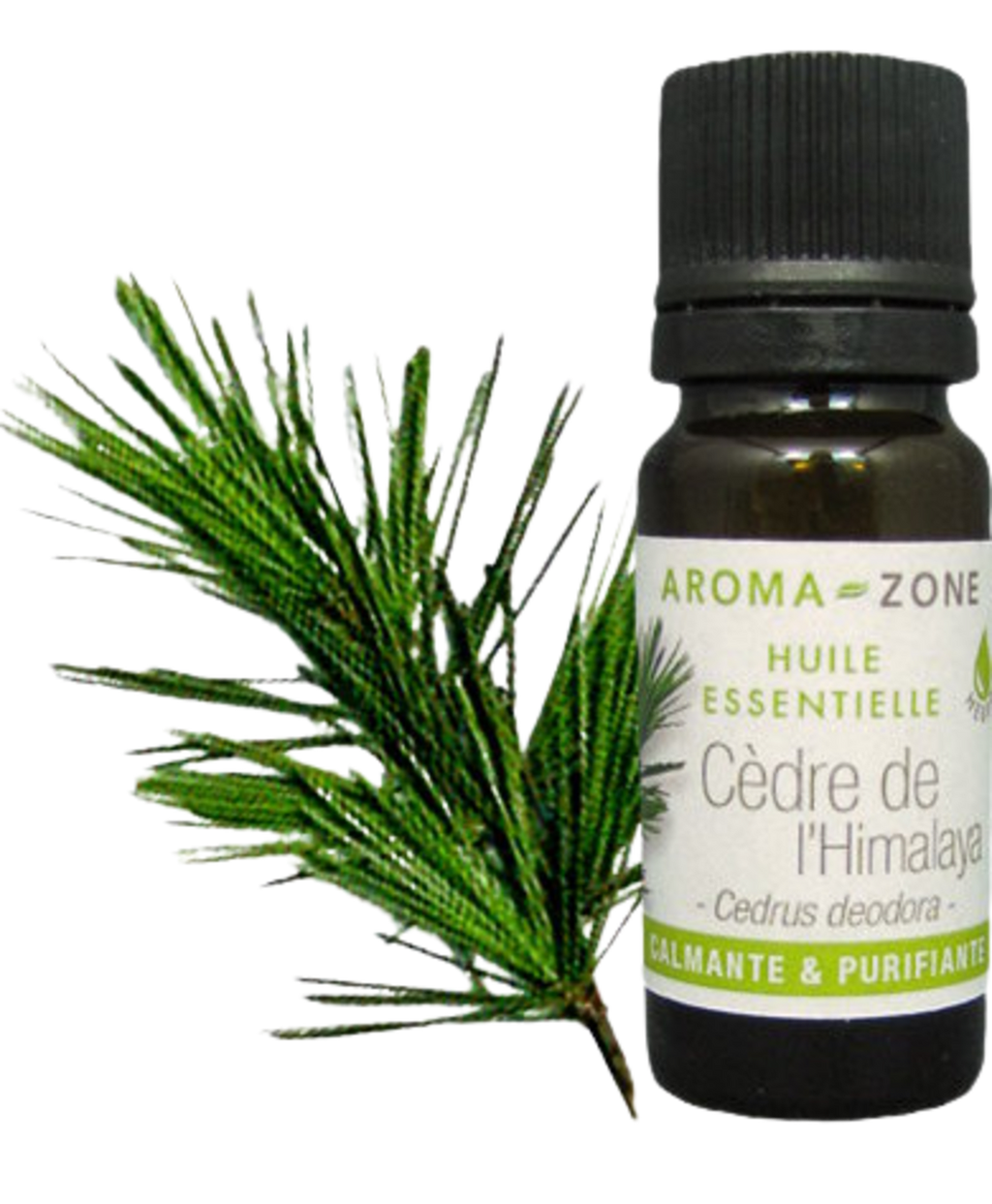 Himalayan Cedarwood Essential Oil Quality Newsletter - Image 3