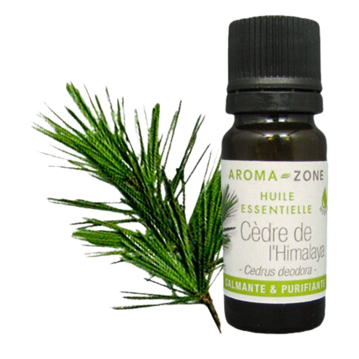 Himalayan Cedarwood Essential Oil Quality Newsletter
