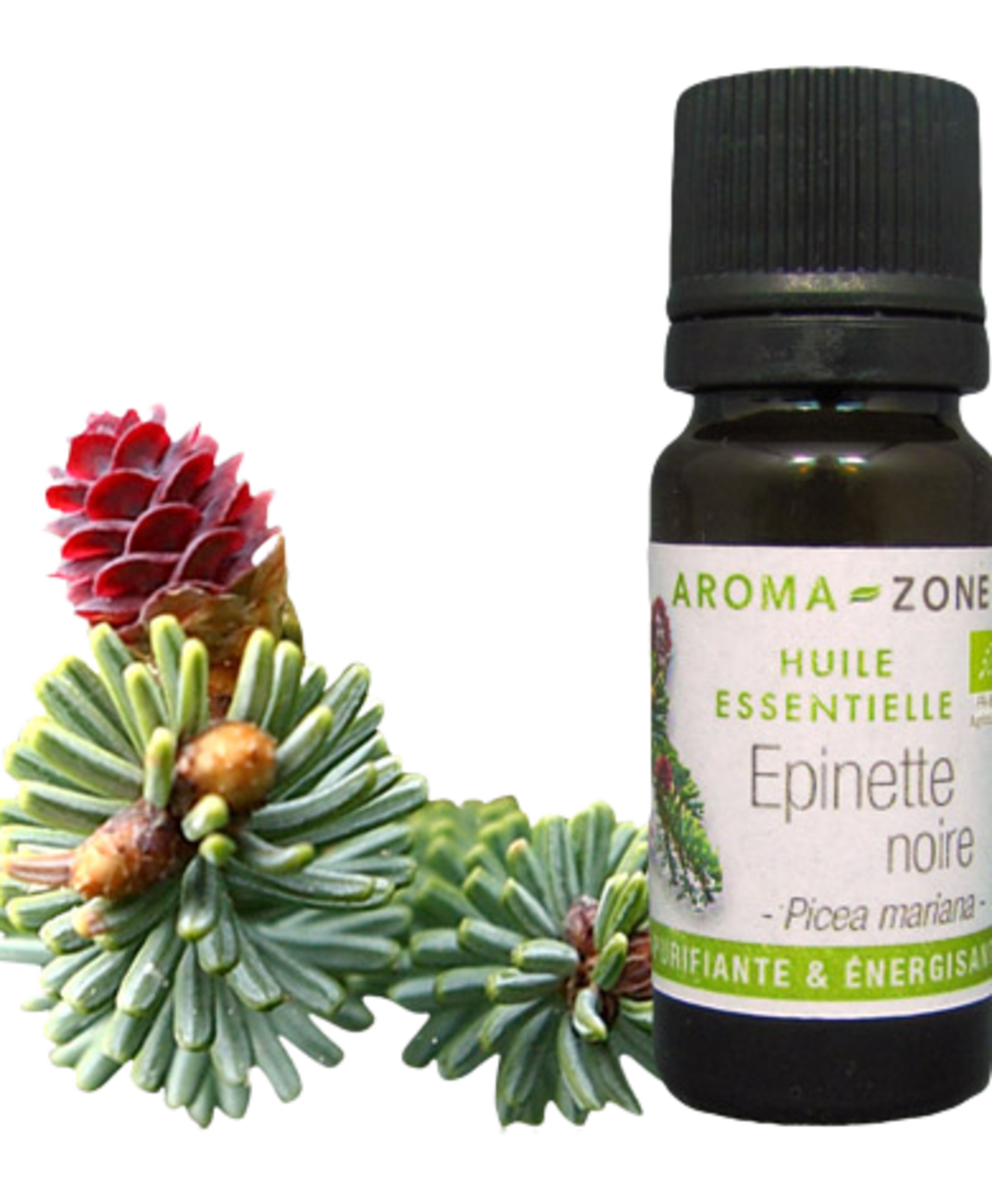 Black Spruce Essential Oil Quality Newsletter - Image 3