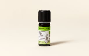 Atlas Cedar Essential Oil Quality Newsletter - Image 2