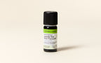 High-Altitude Lavender Fine Essential Oil Quality Newsletter
