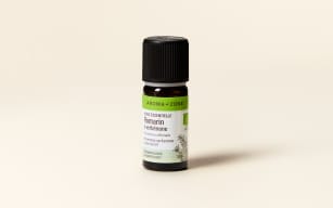 Rosemary Verbenone Essential Oil Quality Newsletter - Image 2