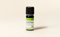 Bay Rum Tree Essential Oil Quality Newsletter