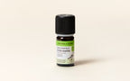 Sea Fennel Essential Oil Quality Newsletter - Image 2