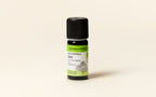 Saro Essential Oil Quality Newsletter - Image 2