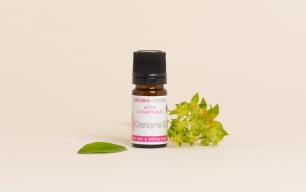 Coenzyme Q10: benefits and use - Aroma Zone - Image 3