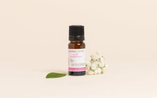 High quality ORGANIC remodelling active ingredient for anti-ageing skin care - Aroma Zone - Image 3