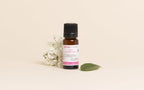 Plant Collagen cosmetic active ingredient - Image 3