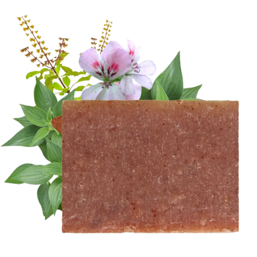 Ayurvedic Hand Soap - Image 2