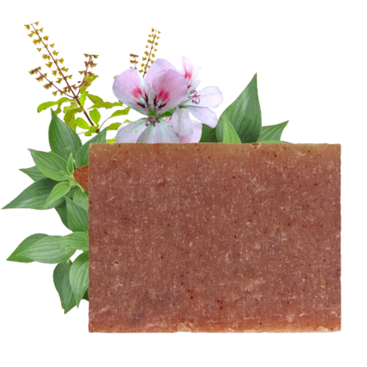 Ayurvedic Hand Soap - Image 2