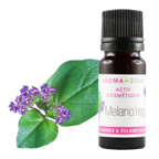 Melano'regul: depigmenting and skin-lightening active ingredient - Image 2
