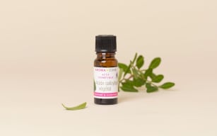 Salicylic acid: an active ingredient with blemish correction benefits - Aroma Zone - Image 3