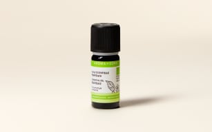 Ravintsara Essential Oil Quality Newsletter - Image 2