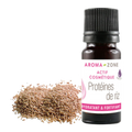 Rice proteins: hair and skin care