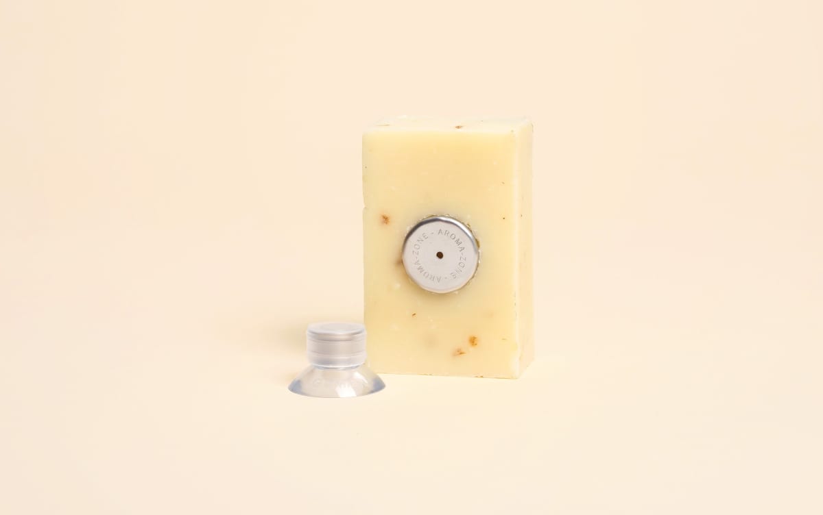 Magnetic soap dish